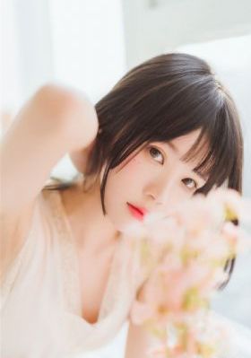 熊出没年货